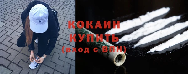 ешки Аркадак