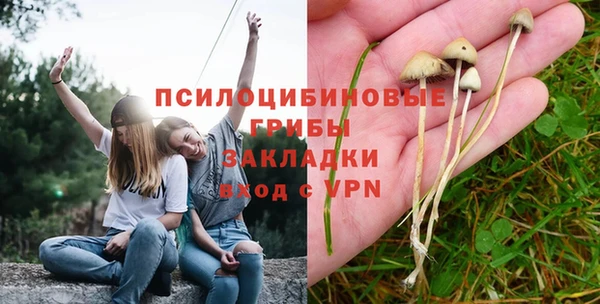 ешки Аркадак