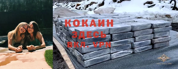 ешки Аркадак