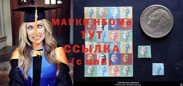 ешки Аркадак
