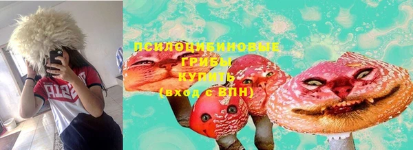 гашик Армянск