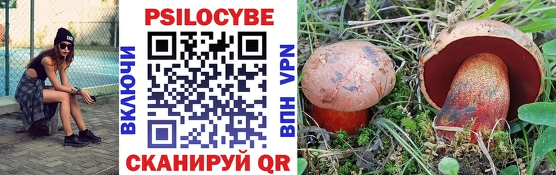 Галлюциногенные грибы Magic Shrooms  наркота  Луга 