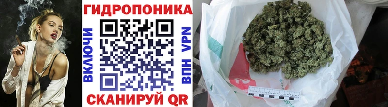 закладка Луга Канабис планчик